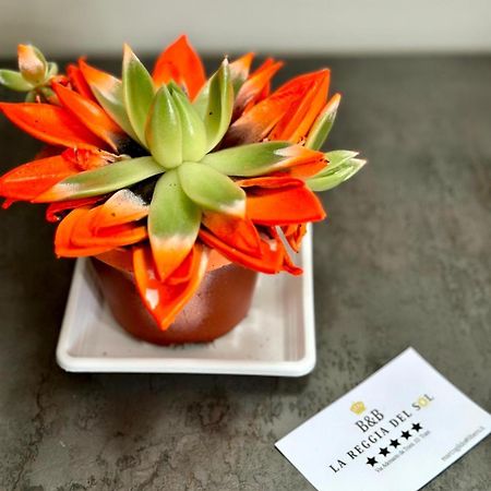 B&B La Reggia Del Sol 特拉尼 外观 照片